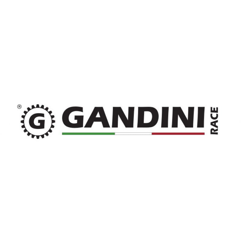 Gandini Racing 520 Aluminium 7075-T6 Kettenrad Aprilia Modelle